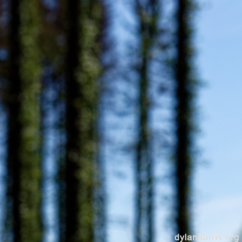 image: This is ‘
terres rouges (xvii) 2
’.