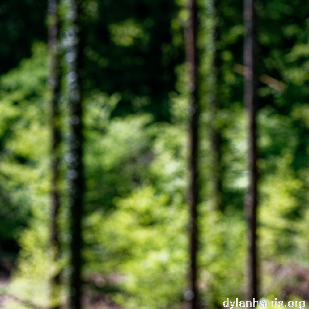 image: This is ‘
terres rouges (xvii) 3
’.