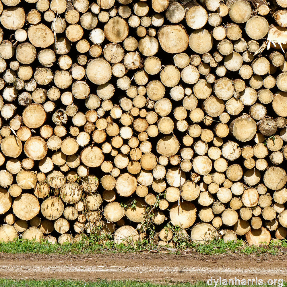 image: This is ‘
terres rouges (xvii) 4
’.