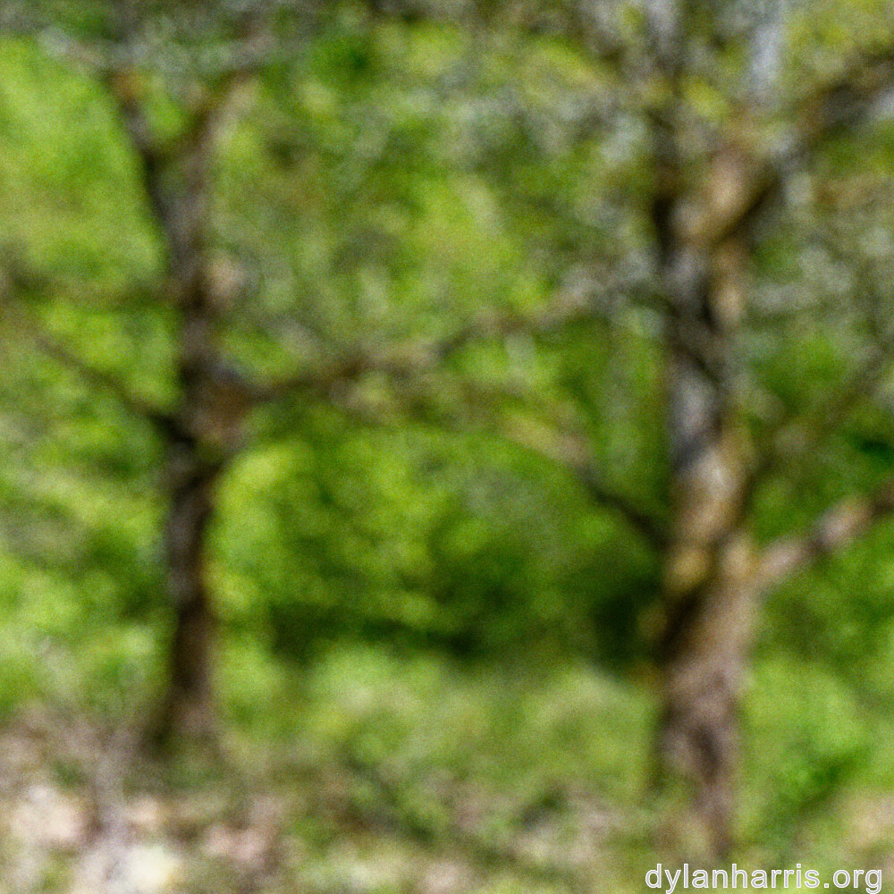 image: This is ‘
terres rouges (xvii) 5
’.