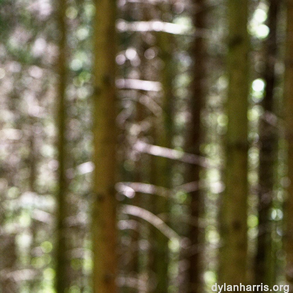 image: This is ‘
terres rouges (xvii) 6
’.