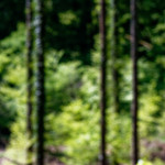 image: Image from the photoset ‘
terres rouges (xvii)
’.