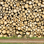 image: Image from the photoset ‘
terres rouges (xvii)
’.