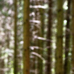 image: Image from the photoset ‘
terres rouges (xvii)
’.