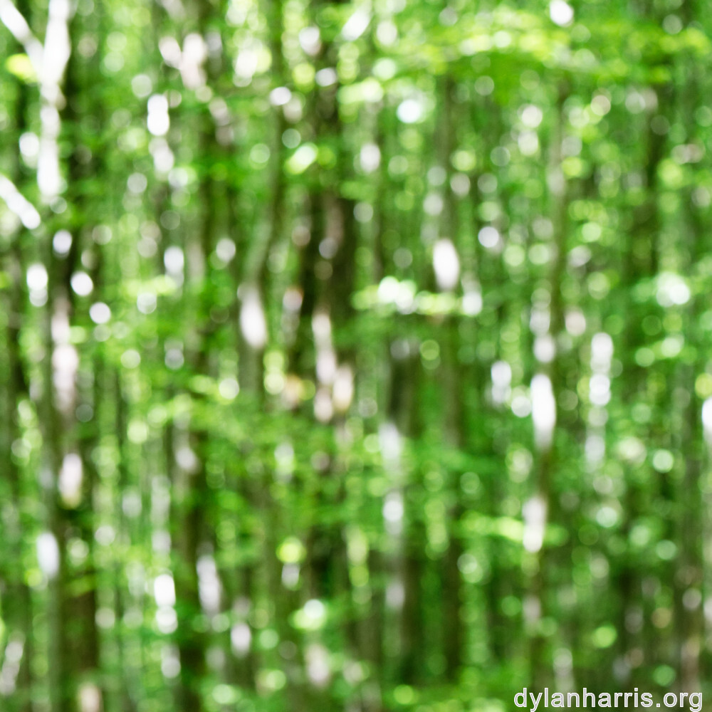 image: This is ‘
terres rouges (xviii) 3
’.