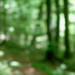 image: Image from the photoset ‘
terres rouges (xviii)
’.