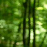 image: Image from the photoset ‘
terres rouges (xviii)
’.