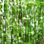 image: Image from the photoset ‘
terres rouges (xviii)
’.