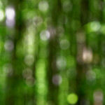 image: Image from the photoset ‘
terres rouges (xviii)
’.