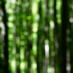 image: Image from the photoset ‘
terres rouges (xviii)
’.