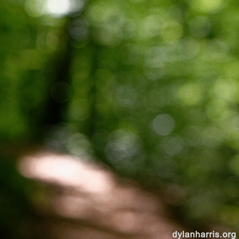 image: This is ‘
terres rouges (xix) 1
’.