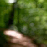 image: Image from the photoset ‘
terres rouges (xix)
’.