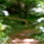 image: Image from the photoset ‘
terres rouges (xix)
’.