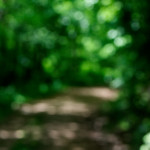 image: Image from the photoset ‘
terres rouges (xix)
’.