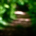 image: Image from the photoset ‘
terres rouges (xix)
’.