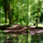 image: Image from the photoset ‘
terres rouges (xix)
’.