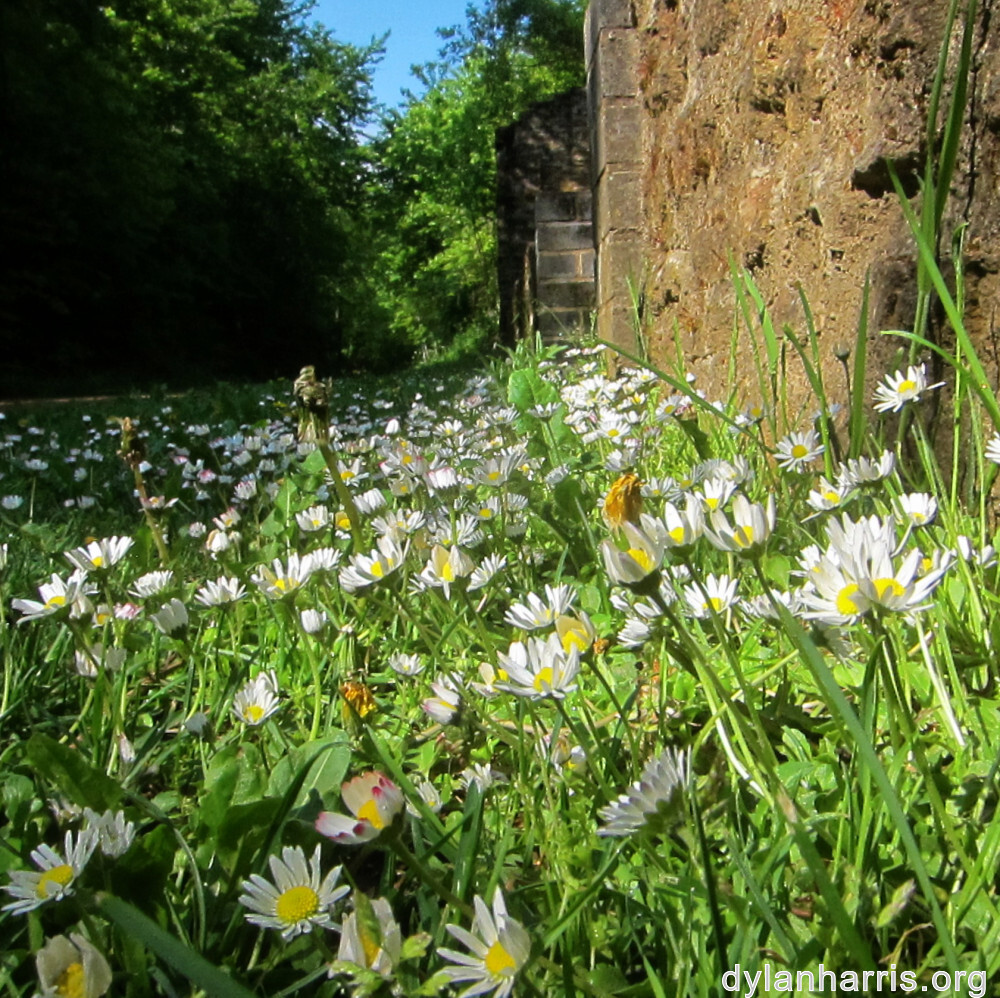 image: This is ‘
belvaux (i) 4
’.