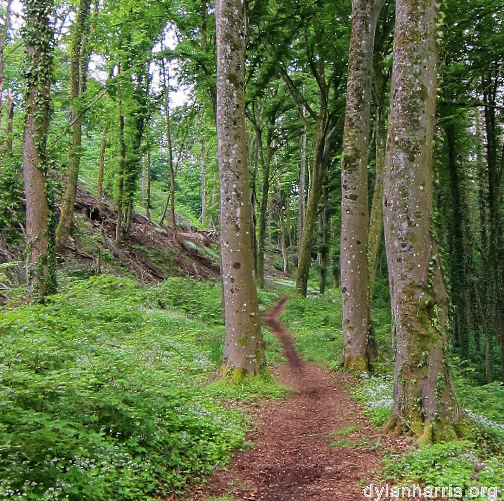 image: This is ‘
belvaux (i) 5
’.