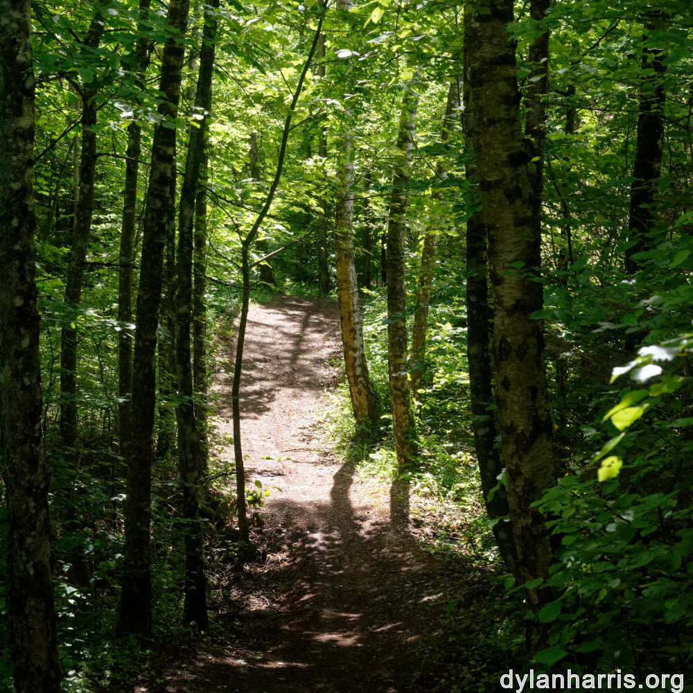 image: This is ‘
belvaux (ii) 1
’.