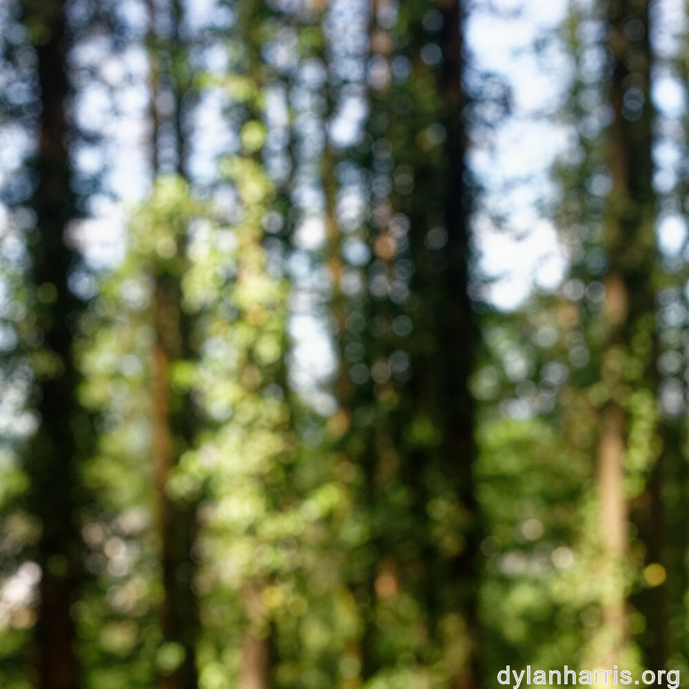 image: This is ‘
belvaux (ii) 2
’.