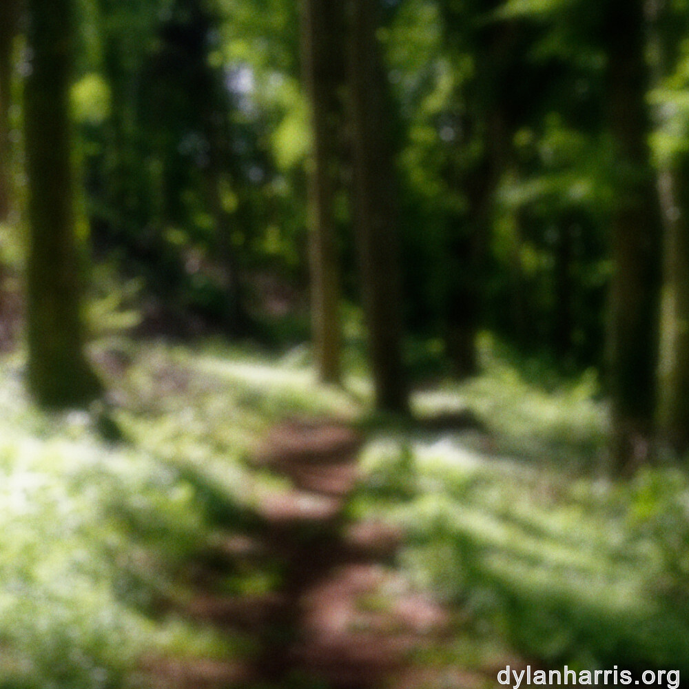 image: This is ‘
belvaux (ii) 3
’.