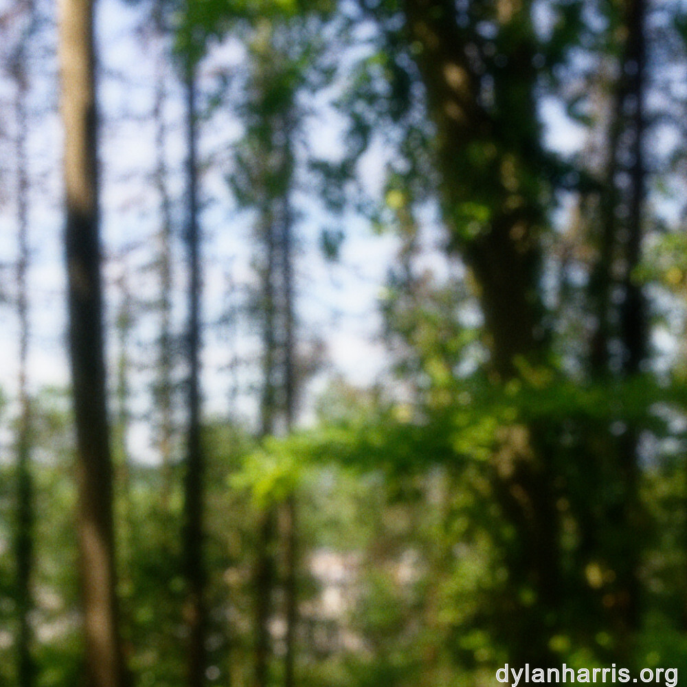 image: This is ‘
belvaux (ii) 4
’.