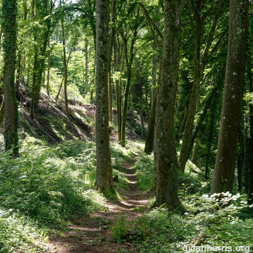 image: This is ‘
belvaux (ii) 5
’.