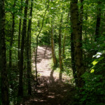 image: Image from the photoset ‘
belvaux (ii)
’.