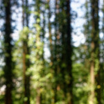 image: Image from the photoset ‘
belvaux (ii)
’.