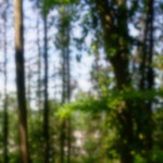 image: Image from the photoset ‘
belvaux (ii)
’.