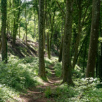 image: Image from the photoset ‘
belvaux (ii)
’.