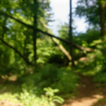 image: Image from the photoset ‘
belvaux (ii)
’.