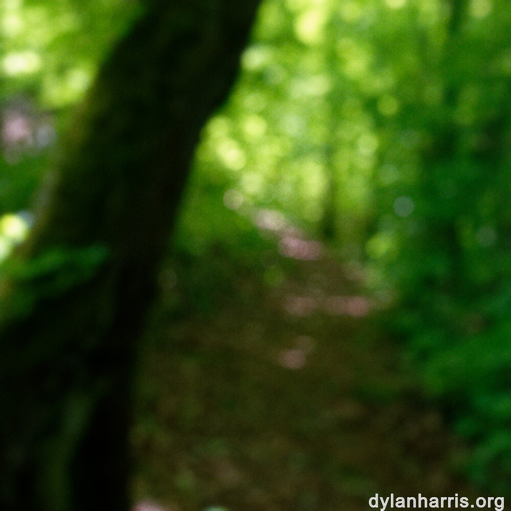 image: This is ‘
belvaux (iii) 2
’.