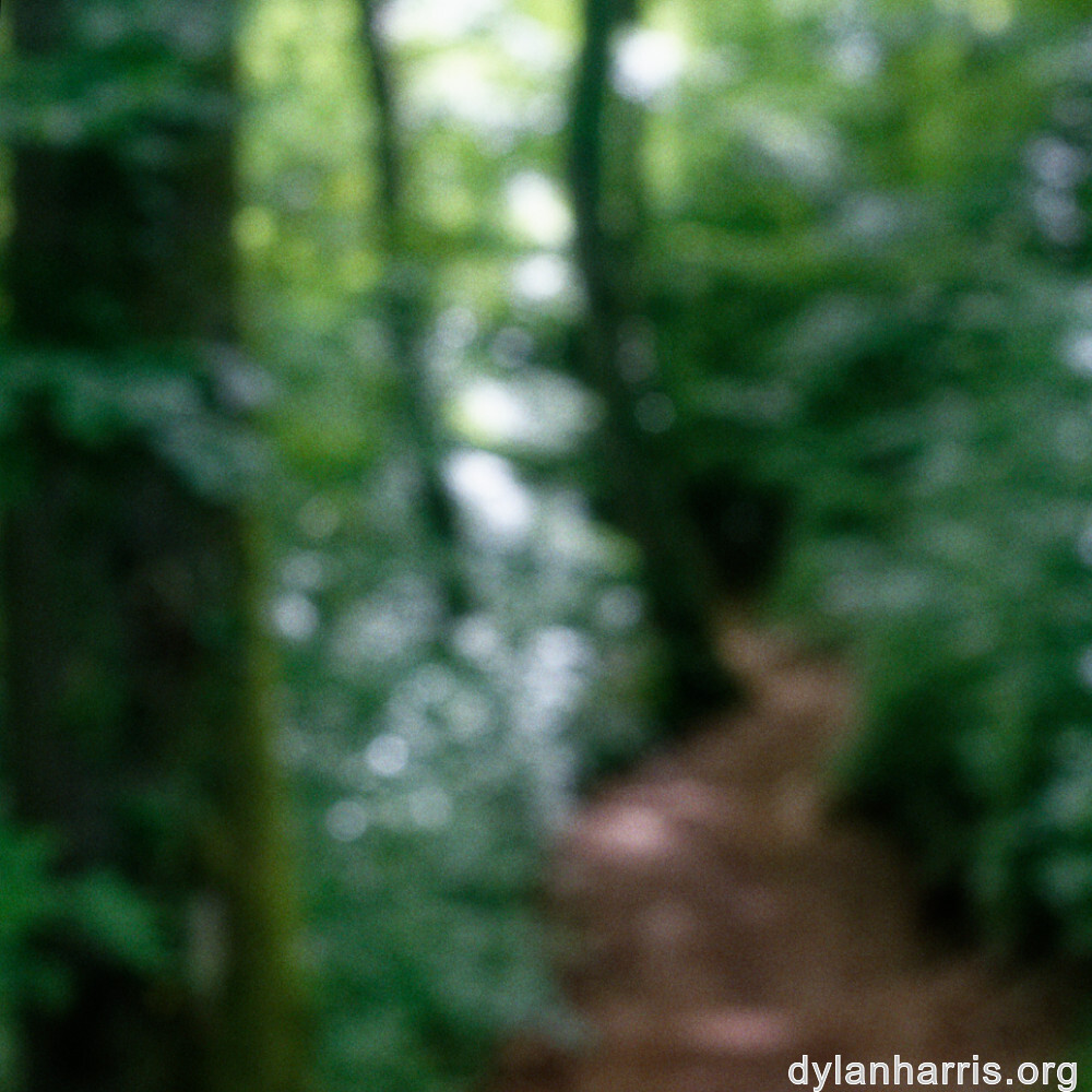 image: This is ‘
belvaux (iii) 5
’.