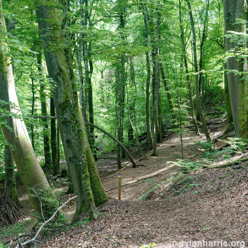 image: This is ‘
belvaux (iii) 6
’.