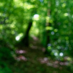 image: Image from the photoset ‘
belvaux (iii)
’.