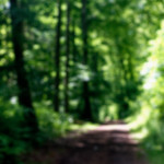 image: Image from the photoset ‘
belvaux (iii)
’.