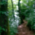 image: Image from the photoset ‘
belvaux (iii)
’.