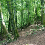 image: Image from the photoset ‘
belvaux (iii)
’.