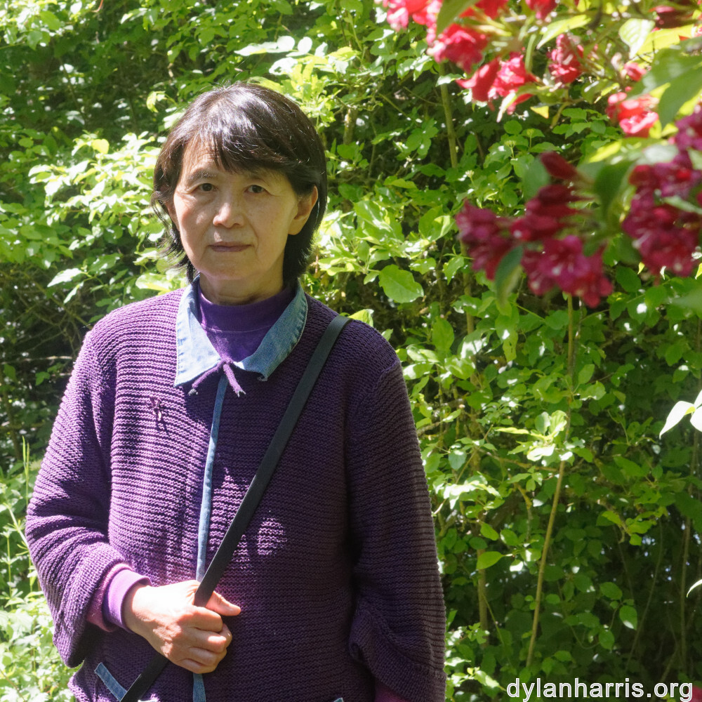 image: This is ‘
L (xxxi) 2
’.