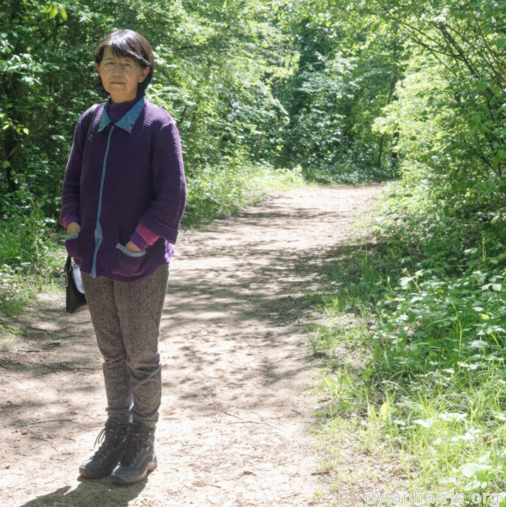 image: This is ‘
L (xxxi) 3
’.