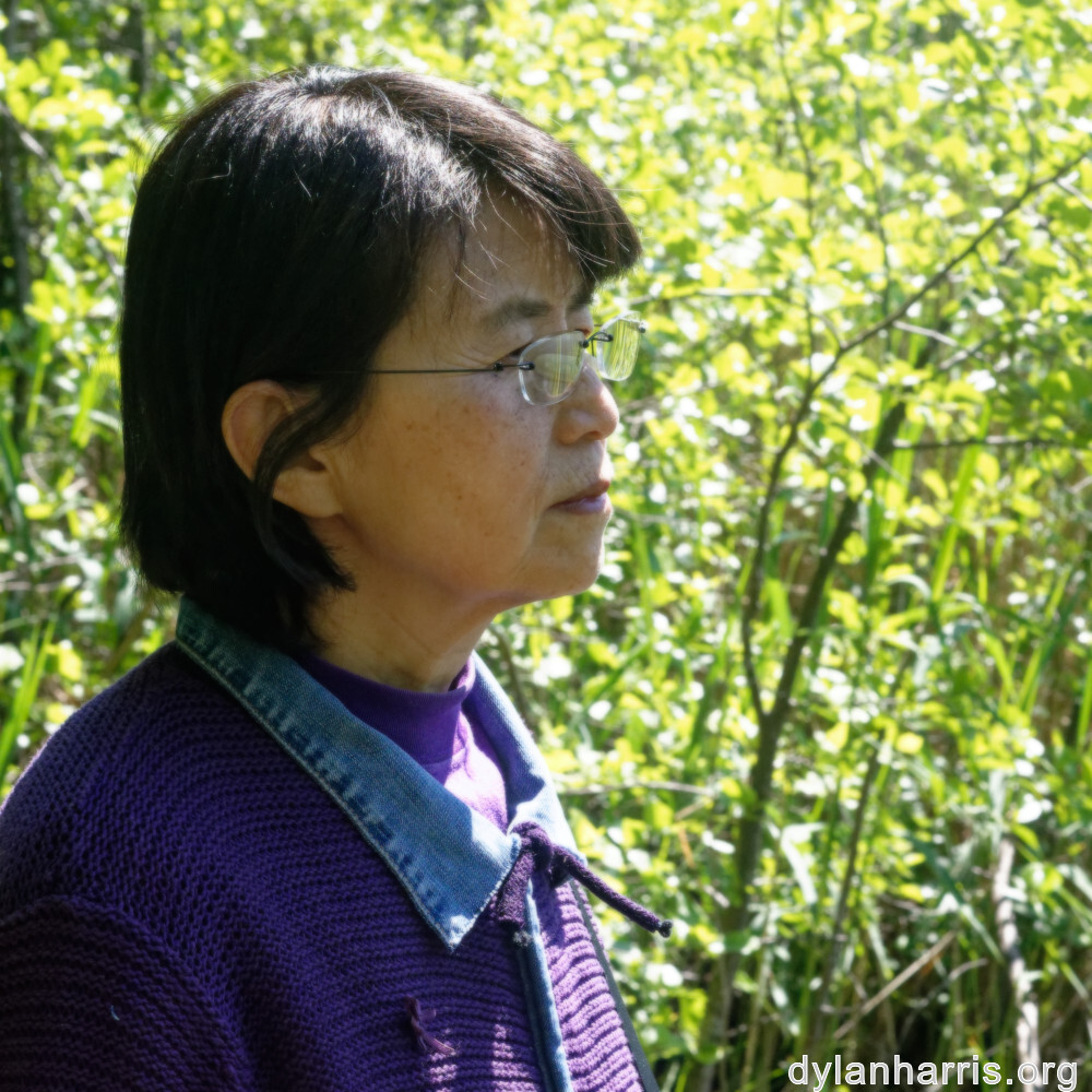 image: This is ‘
L (xxxi) 4
’.