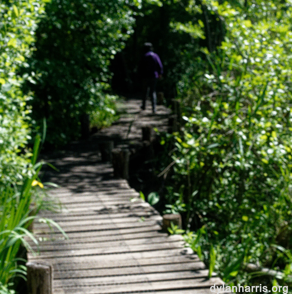 image: This is ‘
L (xxxi) 5
’.