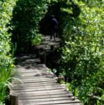 image: Image from the photoset ‘
L (xxxi)
’.