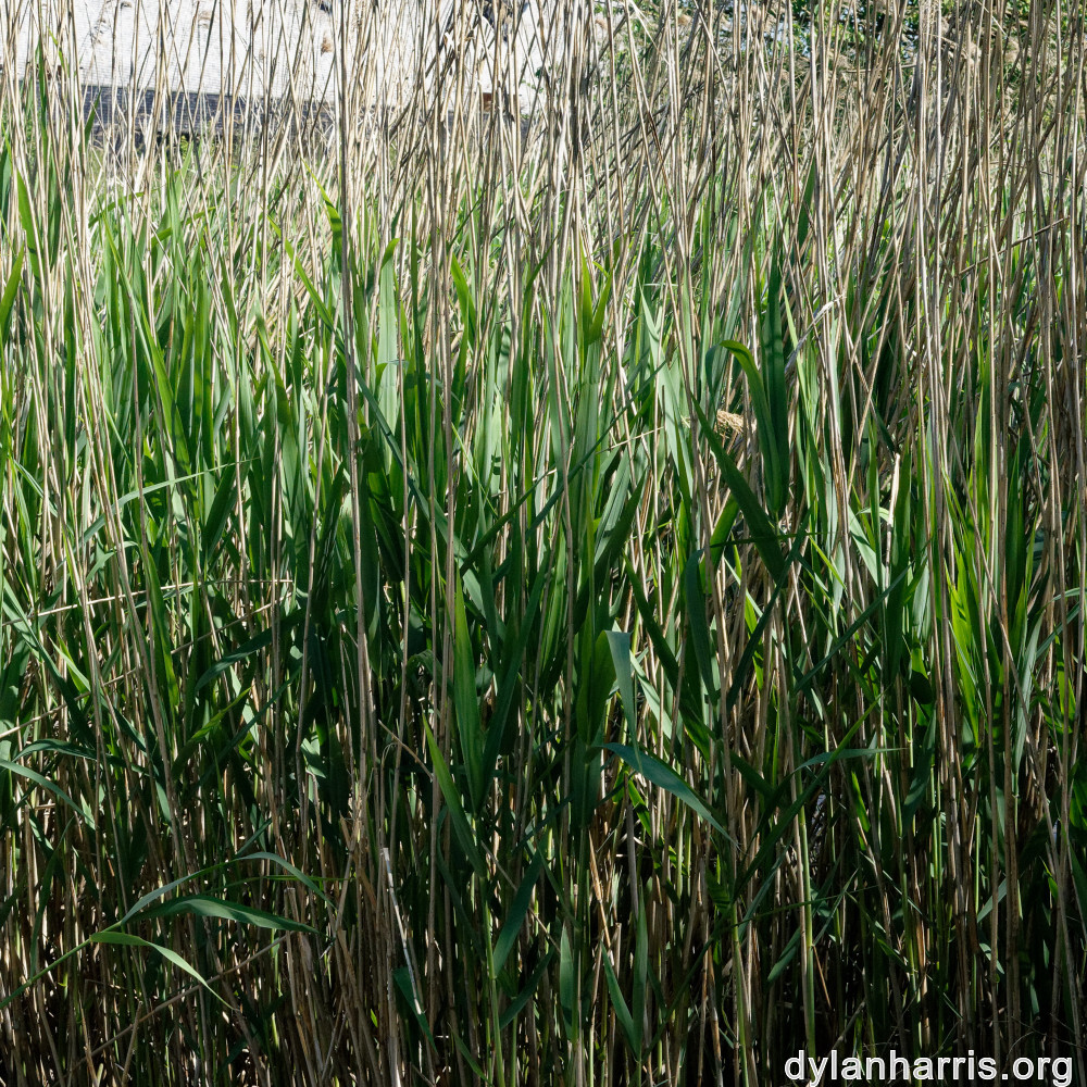 image: This is ‘
schengen (i) 1
’.