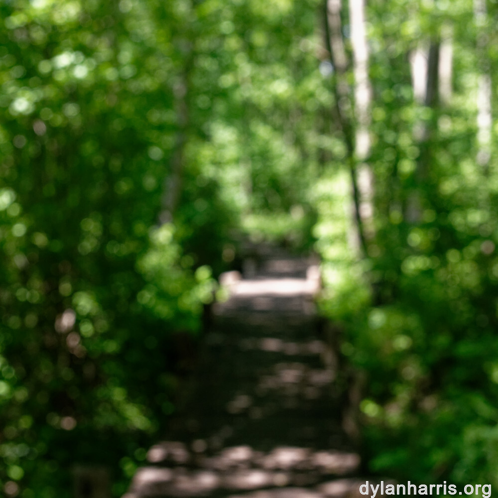 image: This is ‘
schengen (i) 4
’.