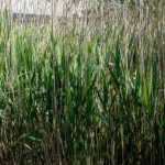 image: Image from the photoset ‘
schengen (i)
’.