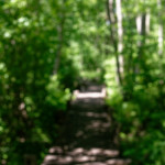 image: Image from the photoset ‘
schengen (i)
’.