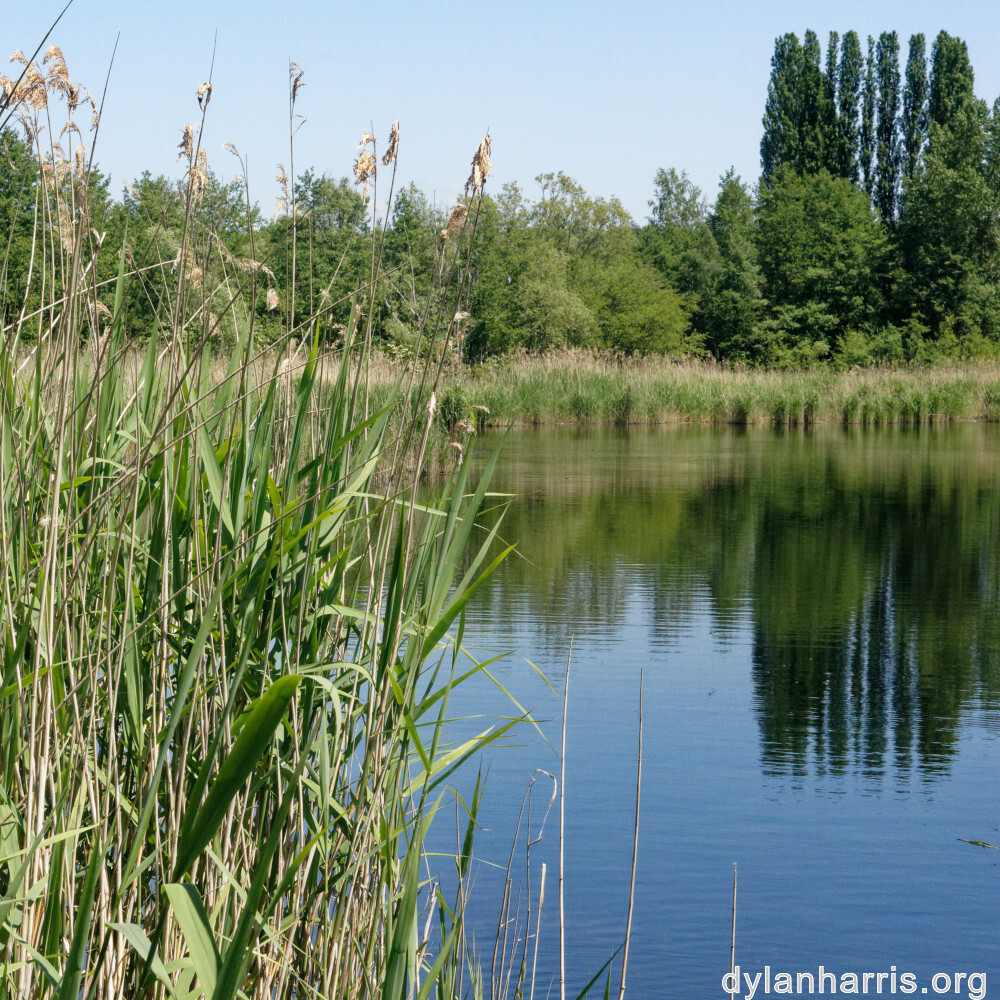 image: This is ‘
schengen (ii) 1
’.