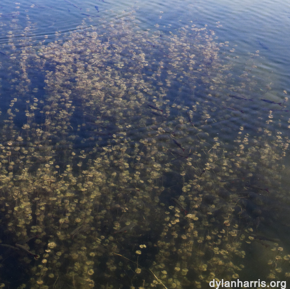 image: This is ‘
schengen (ii) 2
’.